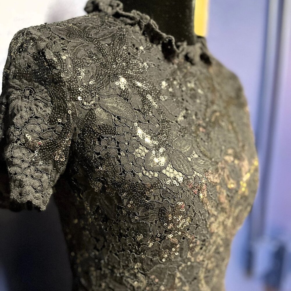 Brooks Brothers Lace and Sequin Dress - Picture 2 of 3